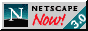 NetscapeDL